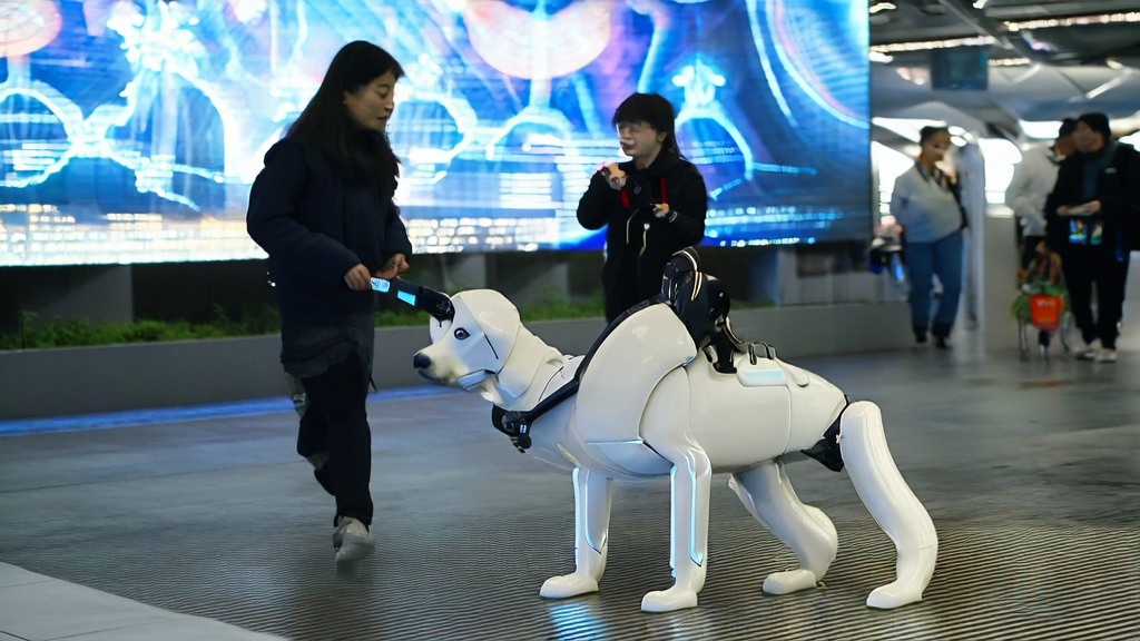 深圳地铁站内的AI智能导盲犬“小蒜”帮助视障人士安全出行，并展示AI技术在广告投放中的应用。